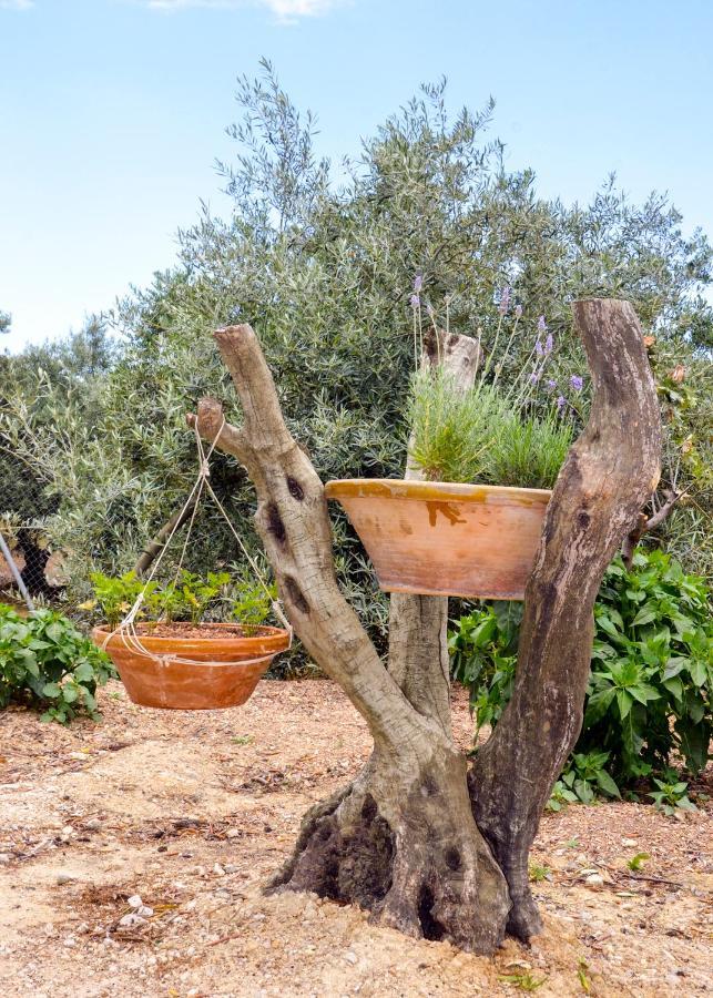 Casa Rural El Tejar Viejo Carcabuey Kültér fotó